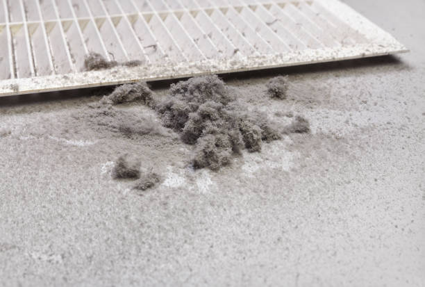 Best Air Duct Cleaning Near Me  in North Augusta, SC