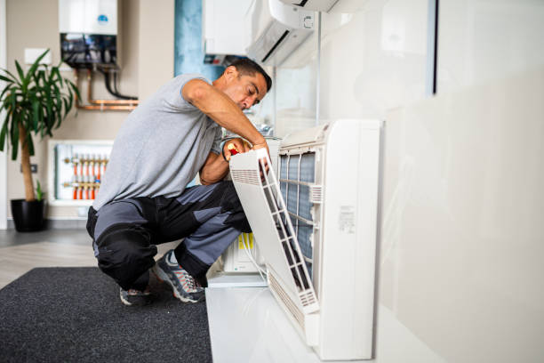Best Air Duct Mold Removal  in North Augusta, SC